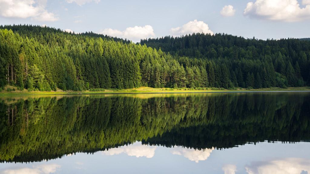 常用水生生態(tài)環(huán)境質(zhì)量改善工程探析