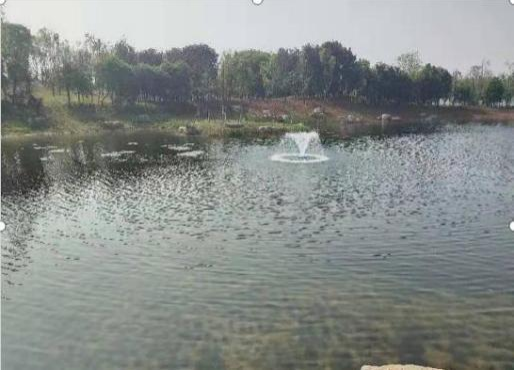 喜訊！江蘇正澤生態(tài)環(huán)境科技有限公司中標(biāo)蕭縣官橋鎮(zhèn)農(nóng)村黑臭水體綜合整治(生態(tài)治理）采購(gòu)項(xiàng)目、蕭縣趙莊鎮(zhèn)農(nóng)村黑臭水體綜合整治采購(gòu)項(xiàng)目