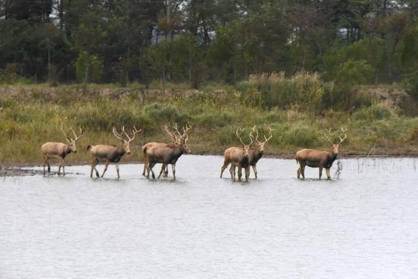 上傳圖片2.png 上傳圖片2.png