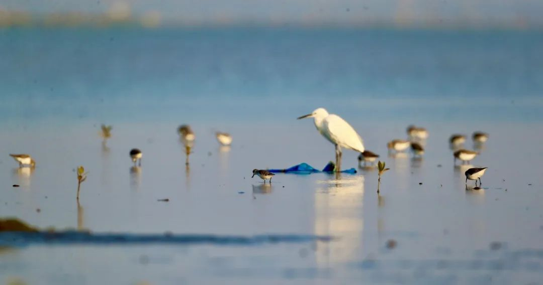 上傳圖片3.png 上傳圖片3.png