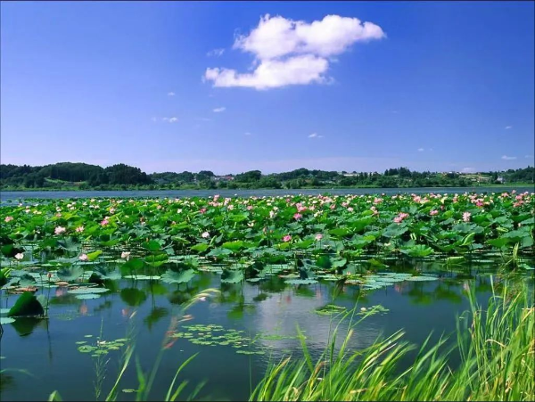 上傳圖片1.png 上傳圖片1.png