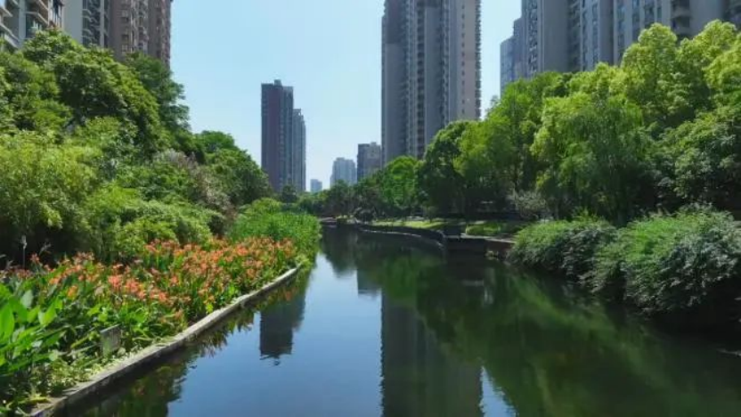 上傳1.png 上傳1.png