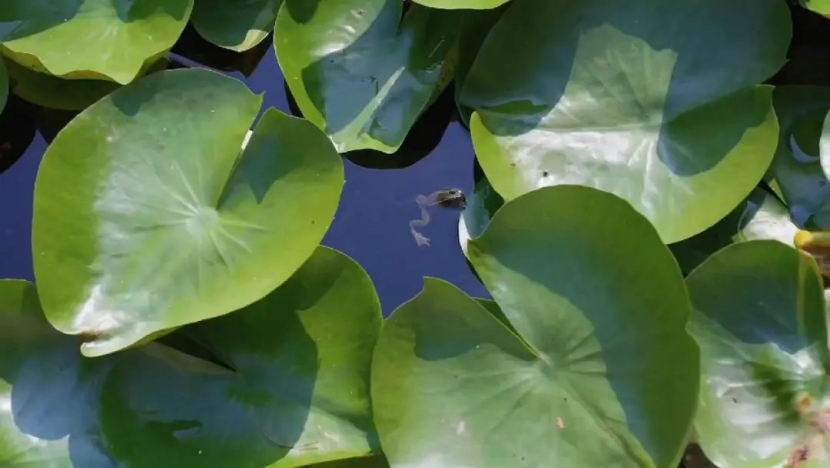 上傳2.png 上傳2.png